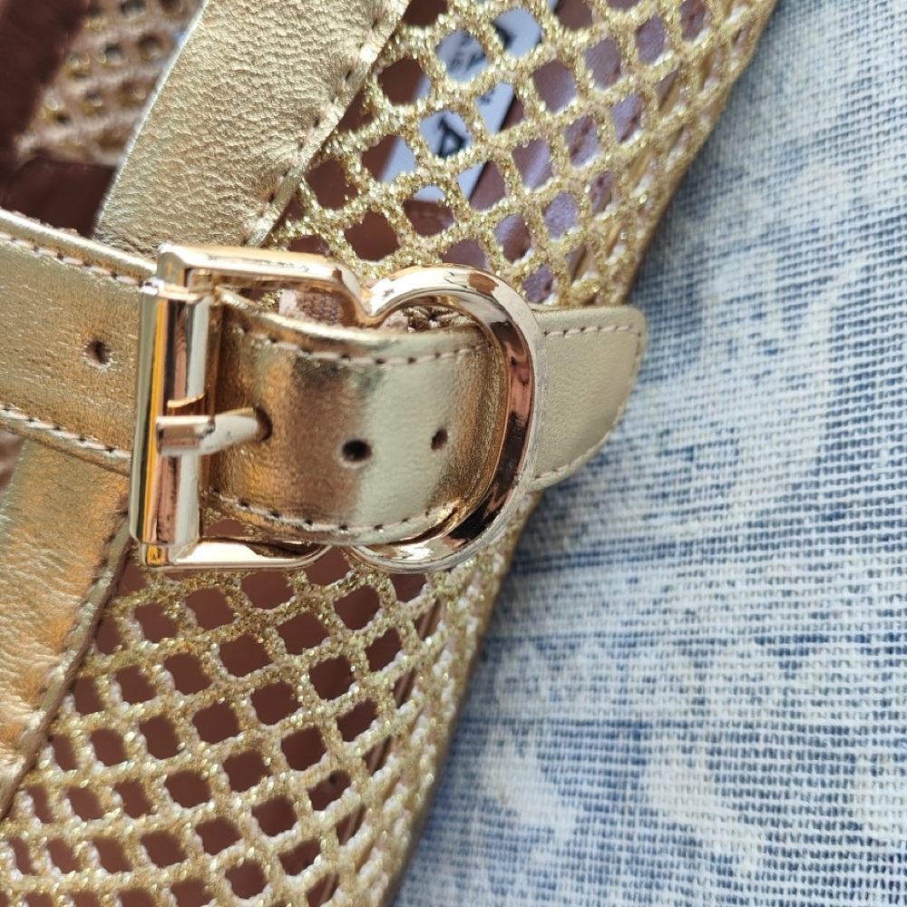 Alaia Gold Mesh Mary Jane Flats with Buckle Strap - Picture 3 of 6